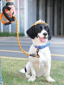 1pc Dog Leash, Reflective Nylon Pet Leash, Explosion-Proof Dog Walking Leash With Foam Handle, Reflective Round Rope, Comfortable And Sturdy - Multicolor - View 12