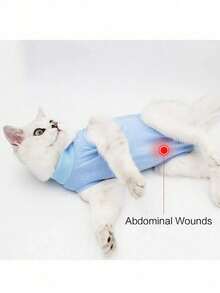 Lightweight Breathable Cat Spay/Neuter Recovery Suit, Thin Spring/Summer Design, 4-Leg Pet Clothing - Blue - View 6