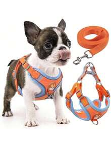 Dog Collar, Cat Collar With Leash For Small And Medium-Sized Pets, Comfortable Vest - 橘色 - 查看 1