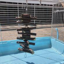 6pcs Hamster Toy Ball Set, Pet Rabbit Guinea Pig Play And Chew Supplies, Hamster Set, Hamster Chew Stick, Round Wooden Chew Toy, Suitable For Rabbits And Hamsters, Chewing And Claw Care, Pet Accessories, Hamster And Rabbit Chew Toys, Natural Wooden Toys, Wooden Chew Toy With Bell, Suitable For Parrots, Rabbits, Guinea Pigs, Hamsters, Small Animal Toys, Pet Supplies - Multicolor - View 6