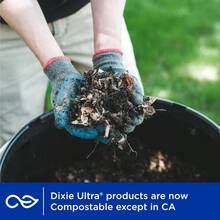 R's Dixie Ultra Paper Bowls 20 Ounces 156 Count 6 Packs of 26 Bowls - Blanco - Ver 6