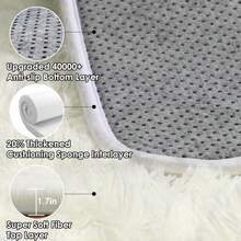 Living Room Rugs, Bedroom Rugs – Ultra Soft Plush Rug, Fluffy Shaggy Carpet, Washable Area Rug With Non-Slip Backing & 4 Free Grip Stickers, Modern Home Dorm Decor, Multiple Sizes 4x6 5x7 6x9 8x10 9x12 10x14, Black Rug - 象牙白 - 查看 5