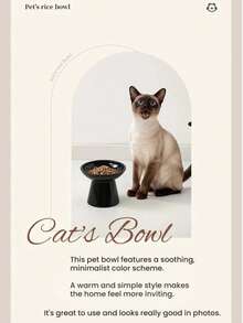 加高宽边陶瓷宠物碗，适用于猫狗 | 颈部保护喂食器，防溢水食碗