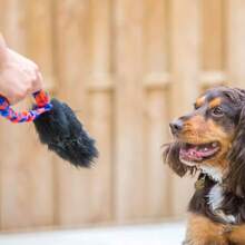 Tug-E-Nuff 犬用玩具 羊皮毛 口袋磁铁 橙色 拉伸玩具 9639-O 正品 - 写真の通り - チェックする 4