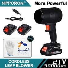 Hippcron Cordless Lithium-Ion Handheld Hair Dryer, Powerful Airflow, Comes With 1 Battery