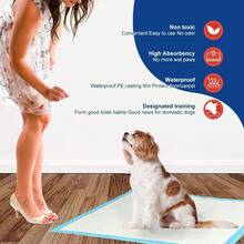 50-Pack Ultra Absorbent Pet Diaper Pads For Dogs &Cats Odor-Control Puppy Pee Mats Disposable Litter Toilet Solutions - 45*60cm - 查看 9
