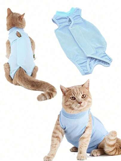 1pc Light Blue, Size M, Post-Op Recovery Suit For Cats With Abdominal Wounds Or Skin Conditions, Also Suitable For Post-Spay Nursing Cats And Kittens, Breathable Alternative To Elizabethan Collar To Prevent Licking Of Incisions