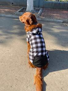 宠物连帽衫一件装，带拉链口袋，适合猫狗，四季皆宜 - 黑與白 - 查看 7