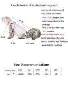 轻便透气猫咪绝育术后恢复服，春夏轻薄设计，四脚宠物服装 - 藍色 - 查看 2