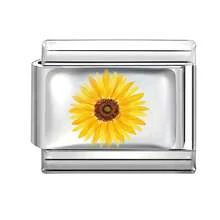 1 chiếc vòng tay mô-đun Ý tự làm phủ nhựa, được trang trí bằng các họa tiết hoa, thích hợp làm quà tặng tiệc cho bạn bè/cặp đôi, dùng cho Giáng sinh, Năm mới, Halloween, Ngày lễ tình nhân, thiết kế quyến rũ, trang sức thép không gỉ, địa phương, thiết thực và thời trang, phong cách Giáng sinh, đồ trang trí Giáng sinh, hướng dẫn trang phục dự tiệc, vật dụng làm quà tặng Giáng sinh, không khí Giáng sinh tại nhà, phong cách thực vật cổ điển, phụ kiện Halloween - M293391 - Xem 11