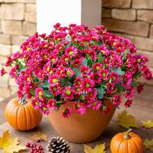 5 buchete de flori artificiale de margarete, flori de crizantemă artificiale rezistente la UV pentru decor de primăvară în aer liber, potrivite pentru curte, gazon, grădină, jardinieră, coș agățat și verandă - Multicolor - Vizualizare 11