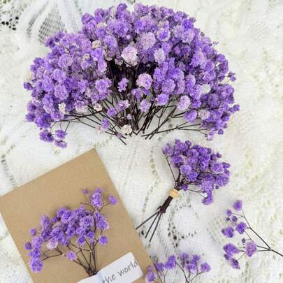 25/50/100/300 piezas Mini Gypsophila y otras flores secas - Para moldes de resina y manualidades, ramo blanco marfil para accesorios para el cabello, coronas de boda, decoraciones de mesa, decoración del hogar