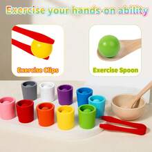 Juguete de taza con bolas de colores del arcoíris, juego de emparejamiento de madera para preescolar, aprendizaje de clasificación y conteo de colores, juguete educativo de motricidad fina para la primera infancia, color aleatorio - Multicolor - Ver 4