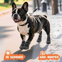 Dog Shoes Casual Hook And Loop Pet Booties Outdoor Dog Walking Shoes For Chihuahua Yorkie Bichon Frise - màu đen - Xem 1