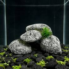 1pc Realistic Rock Design Aquarium Decor, Fish Tank Ornament, Resin Rock With Small Aquatic Plants, Suitable For Betta, Shrimp, Nano Fish Tanks, Simulated Rock Bridge And Cave For Fish And Shrimp Hiding Place, Aquarium Landscaping Decoration - A - View 5