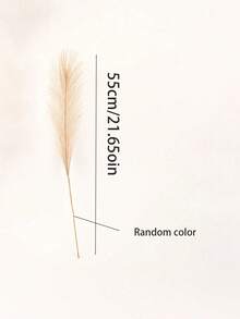 5/10/15/20/30/40/50 Bunches 21.65 Inch Fluffy Pampas Grass, Dried Pampas Grass Bouquet, Boho Wedding Decor, Christmas Decor, Indoor Decor, Living Room Decor, Vase Filler, Farmhouse Decor - Beige - View 3