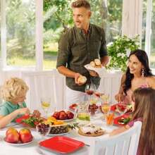 Dinner Plate - Multicolor - View 4