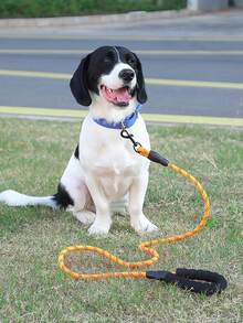 1pc Dog Leash, Reflective Nylon Pet Leash, Explosion-Proof Dog Walking Leash With Foam Handle, Reflective Round Rope, Comfortable And Sturdy - Multicolor - View 11