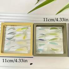 1pc Multi-Color Acrylic Parrot Feather Storage Box, Waterproof Sealed Container For Pet Bird Feather, Specimen, And Memorabilia - Multicolor - View 3