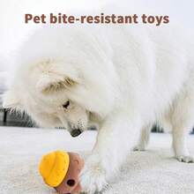 1个弹性防漏宠物喂食器玩具，慢食迷宫球，蜂窝状猫粮分配器玩具