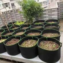 Vegetable/Flower/Plant Grow Bags 3/5/7/10 Gallon Thickened Non-Woven Grow Bags Aeration Fabric Pots With Handles Flower Pot - Black - View 5