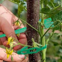 可调节花园植物扭绳，可重复使用的花园植物绑带，灌木固定器，花园树木攀爬支撑带，葡萄藤番茄茎夹，植物悬挂藤蔓，花园温室蔬菜番茄夹
