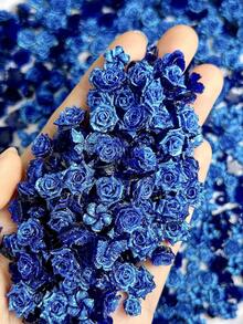 30Pcs Random Mixed ABS Blue Rose Soft Flowers Nail Charms 3D Rose Camellia Bloom Flower Buds Suitable For Valentine's Day Parties Nail Art Accessories DIY