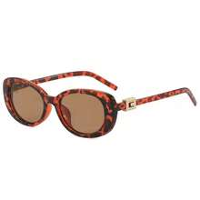 一副女士猫眼时尚眼镜，休闲复古风 - 彩色 - 查看 8