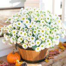 5 buchete de flori artificiale de margarete, flori de crizantemă artificiale rezistente la UV pentru decor de primăvară în aer liber, potrivite pentru curte, gazon, grădină, jardinieră, coș agățat și verandă - Multicolor - Vizualizare 10