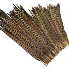 Set of 10 Natural Peacock Feathers with Neck Ring, Crown Design, Stripes, Wedding Decor Long Feathers 40 - 45 cm for Party Decor Home Decoration Floral Arrangement - 21,7-23,6 pulgadas - Ver 3