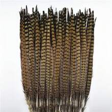 Set of 10 Natural Peacock Feathers with Neck Ring, Crown Design, Stripes, Wedding Decor Long Feathers 40 - 45 cm for Party Decor Home Decoration Floral Arrangement - 21,7-23,6 pulgadas - Ver 6