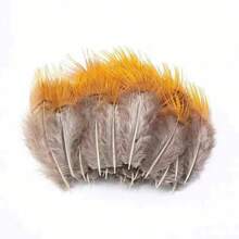 100 Pieces of Natural Peacock Feathers, Wild Bird Feathers, Feather Decorations, Craft Materials, Clothing Accessories, Cat Toys, DIY Craft Feathers for Handmade Projects - pátina - Ver 3