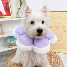 طوق استرداد الحيوانات الأليفة مقاوم للخدش والعض والتلميع، طوق واقي مناسب للكلاب والقطط الصغيرة - متعدد الألوان - مشاهدة 15