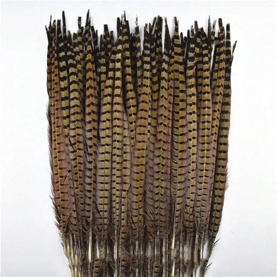 Set of 10 Natural Peacock Feathers with Neck Ring, Crown Design, Stripes, Wedding Decor Long Feathers 40 - 45 cm for Party Decor Home Decoration Floral Arrangement - 19,7-21,7 pulgadas - Ver 1