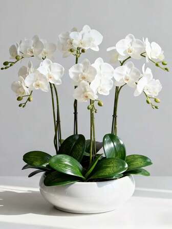 5pcs Lifelike Phalaenopsis Orchid Bouquet, Large Flower Heads, Delicate Stems, Classic Style Artificial Orchid Flowers, Silk Butterfly Orchid Branches, Suitable For Home Decor, Living Room, Hotel Wedding Floral Arrangement, Mother's Day, Spring/Summer Decoration, White Wedding Bouquet, Easter Decoration Gifts, Birthday Presents, Graduation Ceremony, Etc.
