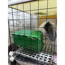 金属兔子喂食器，小型动物喂食器，可悬挂或放置于地面 - 綠色 - 查看 3