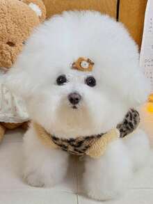 1pc Autumn/Winter Pet Sweatshirt, Cute Cat & Dog Thickened Vest, Comfortable Versatile Pet Apparel Suitable For Poodle, Teddy, Chihuahua, Maltese And Other Medium-Small Cats And Dogs For Daily, Home, And Outdoor Wear - Multicolor - View 8