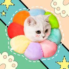 طوق استرداد الحيوانات الأليفة مقاوم للخدش والعض والتلميع، طوق واقي مناسب للكلاب والقطط الصغيرة - متعدد الألوان - مشاهدة 12