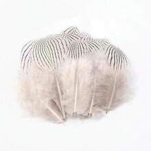 100 Pieces of Natural Peacock Feathers, Wild Bird Feathers, Feather Decorations, Craft Materials, Clothing Accessories, Cat Toys, DIY Craft Feathers for Handmade Projects - pátina - Ver 5