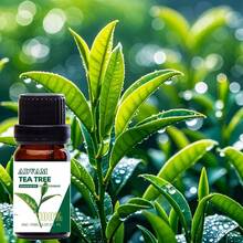 1 Chai/2 Chai Tinh Dầu Thơm Nguyên Chất, Thích Hợp Cho Máy Khuếch Tán Hương, Máy Tạo Độ Ẩm, Máy Khuếch Tán Hương Ô Tô, Hương Thơm Nhà Cửa, Tinh Dầu Châm Thêm Để Làm Nến Mùa Thu/Đông - Bạc Hà Tươi Mát, Hoa Nhài, Xạ Hương, Hoa Mộc Lan, Bưởi, Hoa Sen, Nhũ Hương, Việt Quất, Ylang Ylang, Tràm Trà, Táo, Dưa Hấu, Dứa, Cà Phê, Dâu Tây, Khuynh Diệp, Chanh - Tinh Dầu Nguyên Chất Giáng Sinh - Hoàn Hảo Cho Máy Khuếch Tán Hương, Máy Tạo Độ Ẩm, Làm Nến và Xà Phòng Tự Chế - Nhiều màu - Xem 29