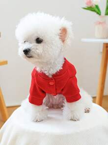 1件宠物衣服，狗狗/猫咪服装，小型犬和幼犬可爱装扮，新年外套 - 金色祝福