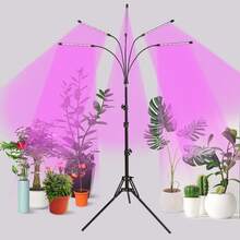 New Plant Light Indoor Plant Growth Light Full Spectrum 100 LED Plant Light Suitable For Indoor Plants 29-61 Inch Adjustable Tripod With 5 Lamp Heads - Bộ M-1 - Xem 8