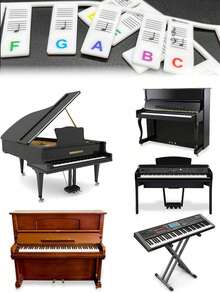 可重复使用的硅胶钢琴音符指南，易于安装和移除的钢琴键盘音符标签，全尺寸 61/88 键，无需贴纸，隔音，卡林巴琴拇指，音叉 - 彩色 - 查看 5