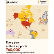 R's Katbite - Juego de 130 hojas de papel de pergamino serie equilibrada 9 x 13 pulgadas papel antiadherente para hornear suavemente papel de pergamino precortado adecuado para hornear cocinar - 9x13 pulgadas 130 piezas - Ver 7