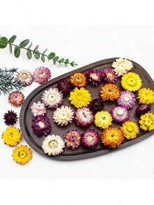 1包（30克）彩色菊花天然干花 - 适用于节日、生日派对、活动装饰、家居卧室装饰、蜡烛制作、插花 - 七彩菊(1件) - 查看 6