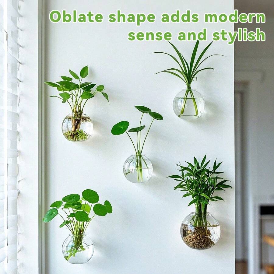 Wall Mounted Hydroponic Vase/ Plants Propagation Station/ Glass Planter Vase, Transparent Wall Planters For Indoor Plants, Oblate Hanging Glass Air Plant Holder (6Pcs) - 6 cái - Xem 1