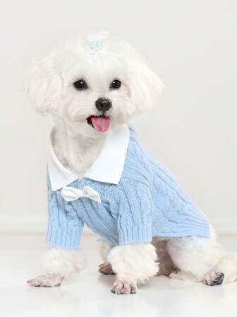 1pc Pet Sweater With Bow Design, Classic Shirt Collar, Cable Pattern Suitable For Cats And Small/Medium Dogs, Cute Style Suitable For Valentine's Day Party Outfit
