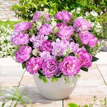 2/4 Bunches Outdoor Artificial Peony & Hydrangea Mixed Bouquet - Pink & Purple, Silk-Like Vibrant Petals, UV-Resistant, Non-Fading, Realistic Artificial Floral Decor, Suitable For Garden, Patio, Porch, Planters, And Window Boxes, Artificial Plants, Decorative Flowers, Valentine's Day Gift - Multicolor - View 4