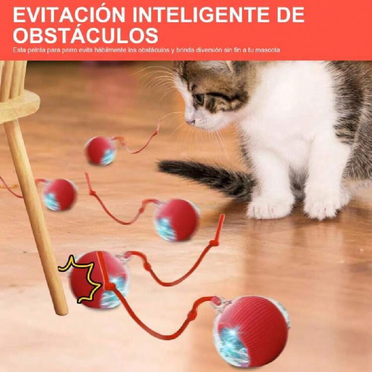 Dog Toy Balls - 彩色 - 查看 6