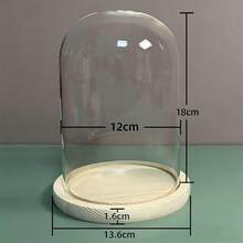 1pc Transparent Glass Dome Display Case With Wooden Base, For DIY Preserved Flowers, Snow Globes, Plant Crafts, Memorabilia